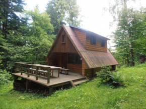 Roztomilá a utulná chata Azzy na samotě v lese., Valašské Klobouky